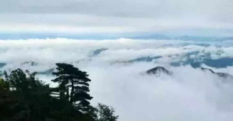 年轻帅的像教科书,如今却“毁容式”变老,这5位男星越活越走样